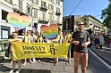 MAS_7955