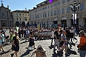 MAS_7974