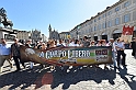 MAS_7976