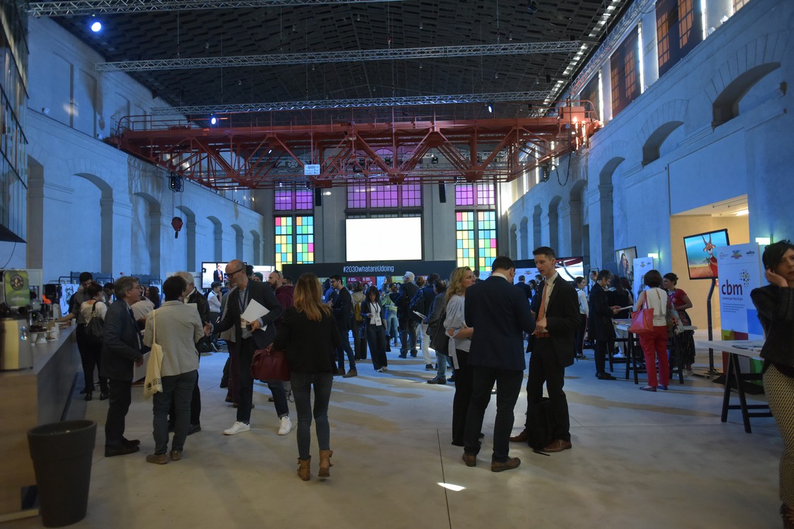 MAS_9705.jpg