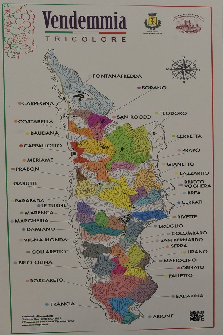 MAS_1475.JPG
