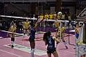 MAS_8929
