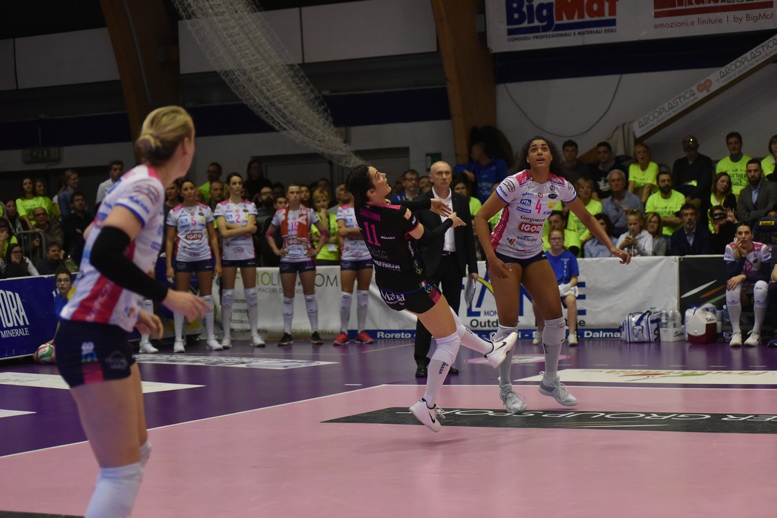 MAS_6020.jpg