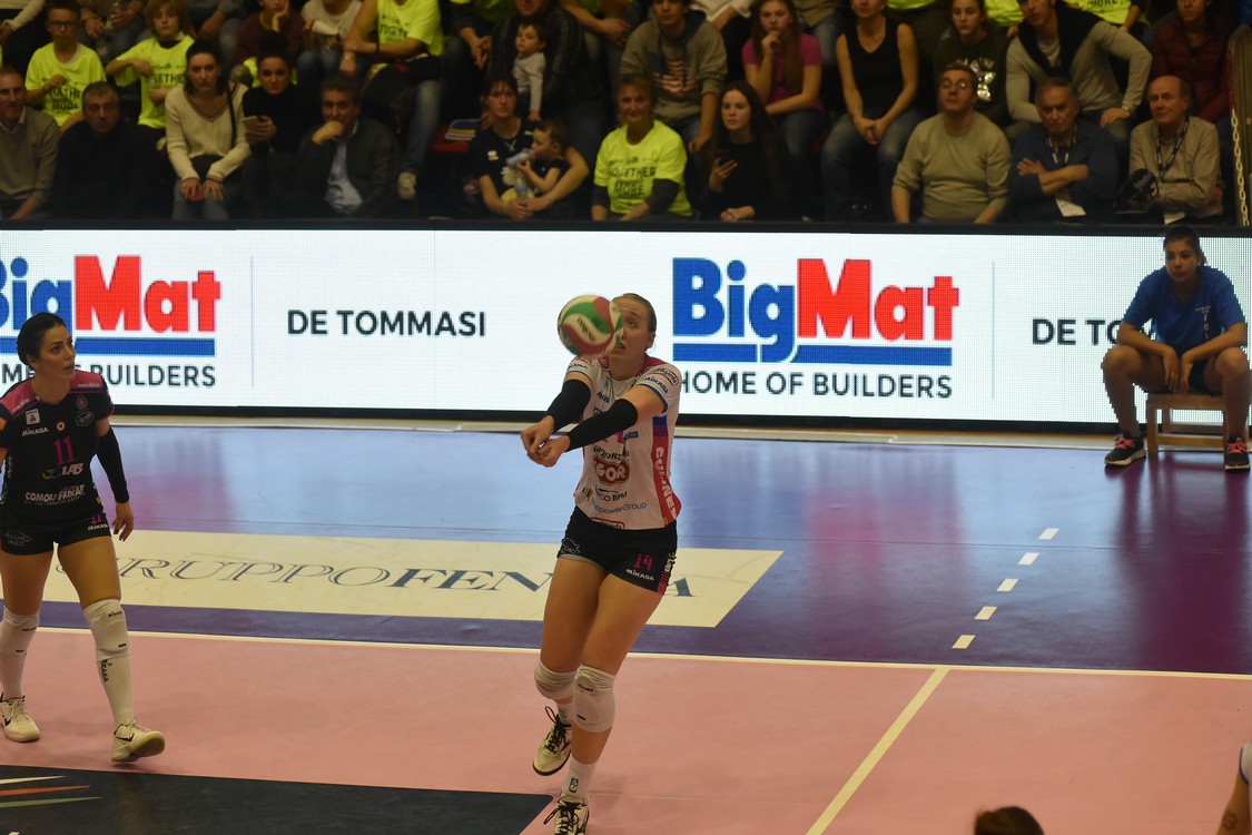 MAS_6080.jpg