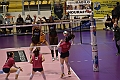 MAS_4155