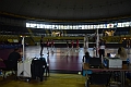 MAS_4195