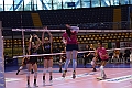 MAS_4253