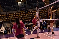 MAS_4295