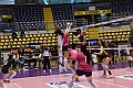 MAS_4545