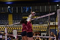 MAS_4927