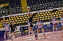 MAS_6816