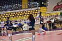 MAS_6905