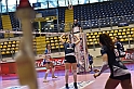 MAS_7004