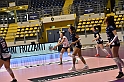 MAS_7013