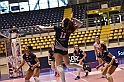 MAS_7041