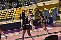 MAS_7044