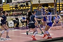 MAS_7149
