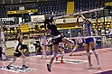 MAS_7184