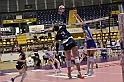 MAS_7185