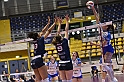 MAS_7197