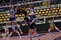 MAS_7299