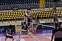 MAS_7312