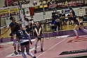 MAS_7341
