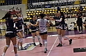 MAS_7379