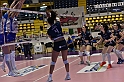 MAS_7393