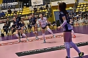 MAS_7412