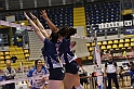 MAS_7433