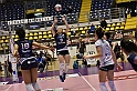 MAS_7451