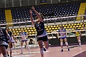 MAS_7646