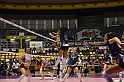 MAS_0753