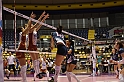 MAS_0817