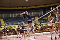 MAS_1165