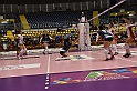 MAS_1181