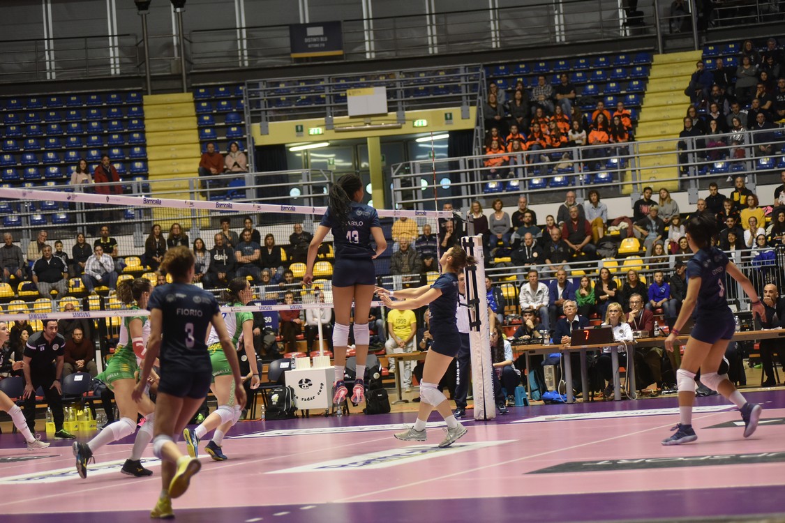 MAS_0189.jpg