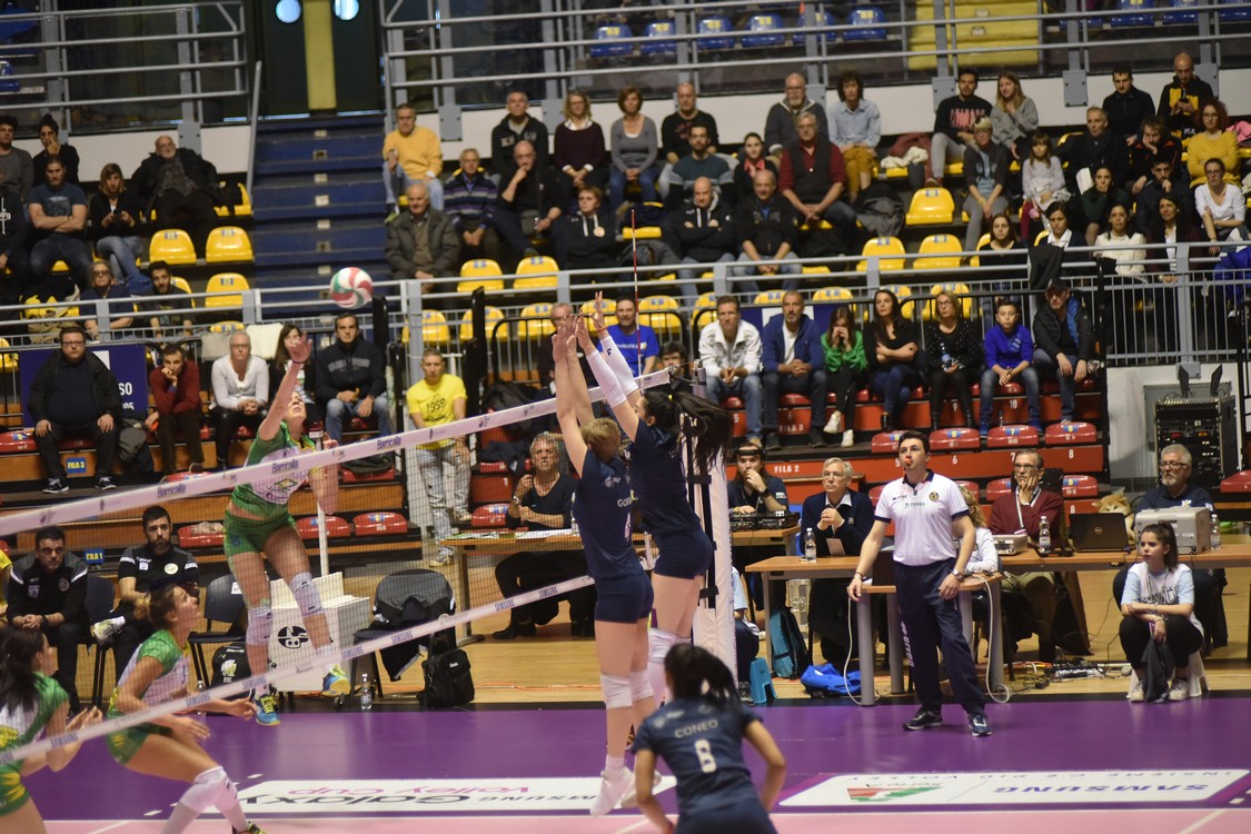 MAS_0206.jpg