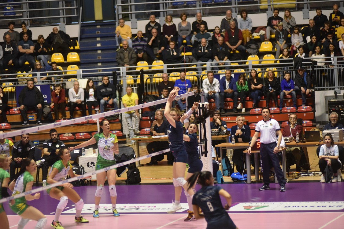 MAS_0208.jpg