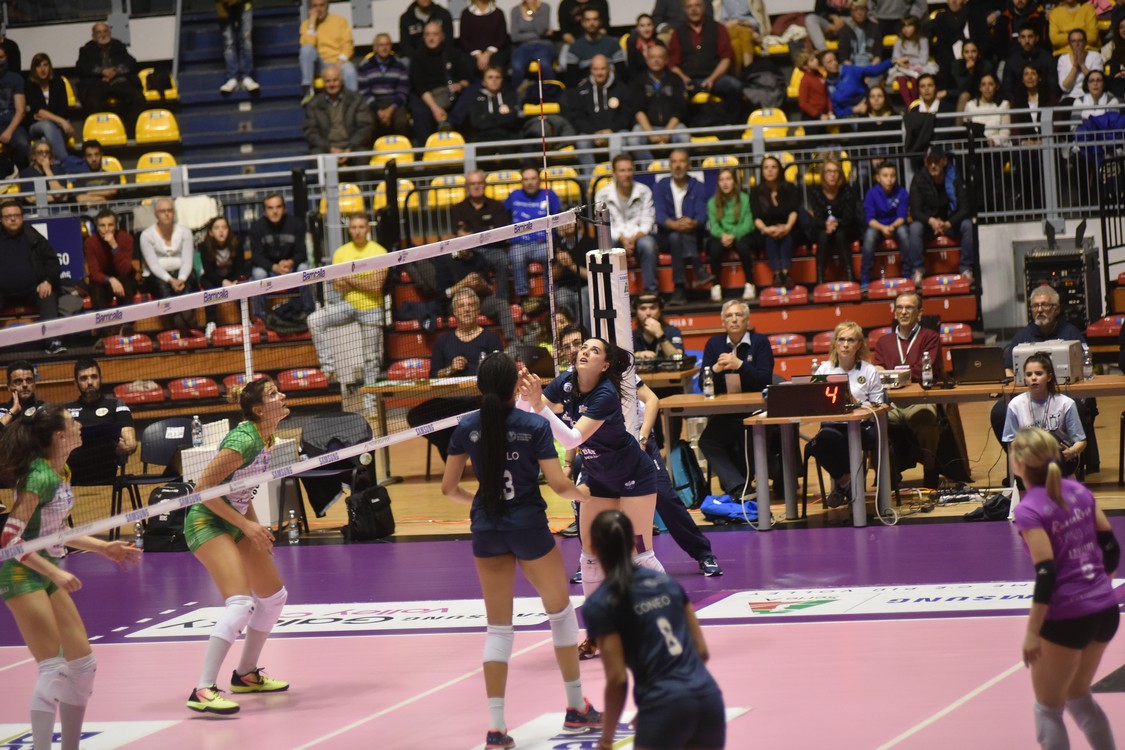 MAS_0270.jpg