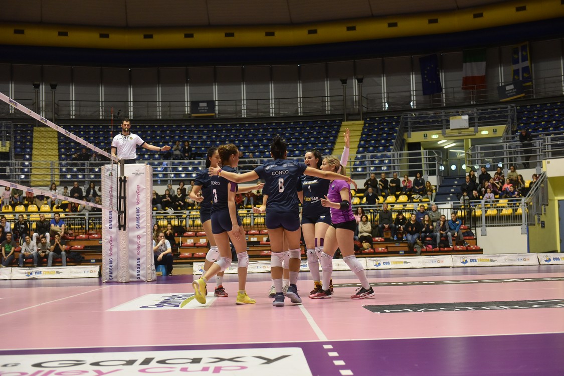 MAS_0445.jpg