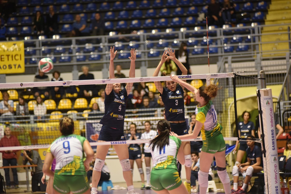 MAS_0463.jpg