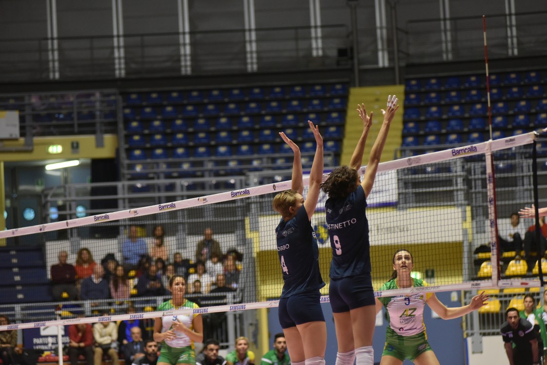 MAS_0559.jpg