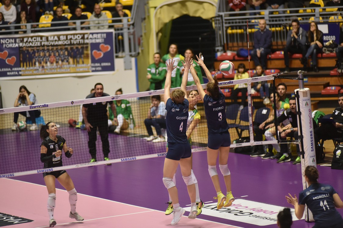 MAS_0769.jpg