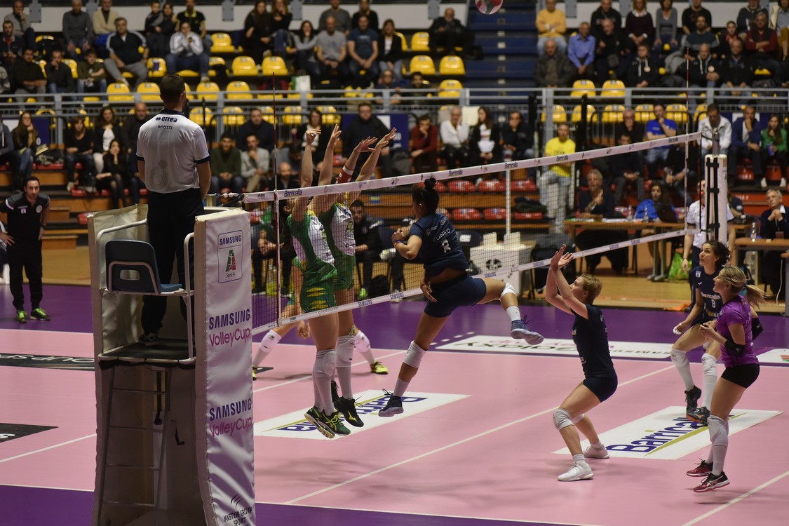 MAS_0801.jpg