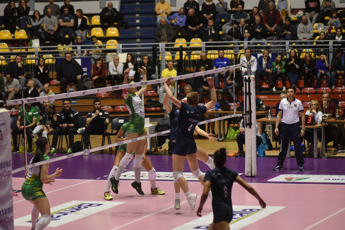 MAS_0805.jpg