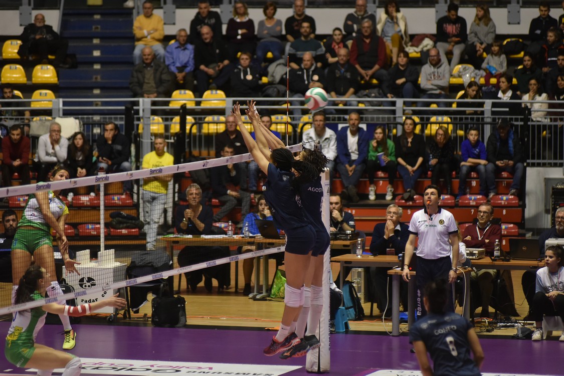 MAS_0814.jpg
