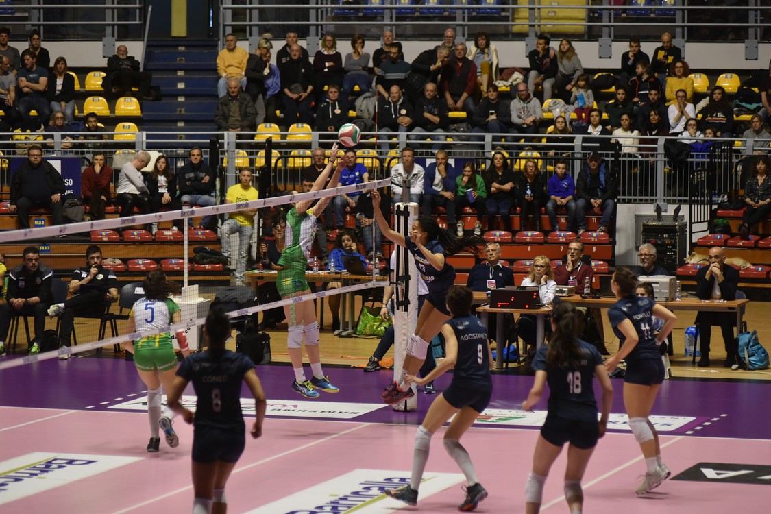 MAS_0835.jpg