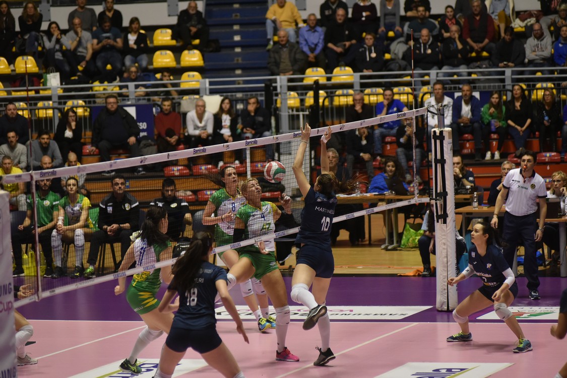 MAS_0884.jpg